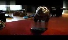 体感游戏搞笑视频爆料,笑料百出，欢乐无限